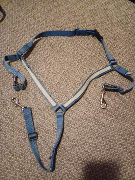 Ristirintaremmi shetlanninponille Lieksa - valokuva 1