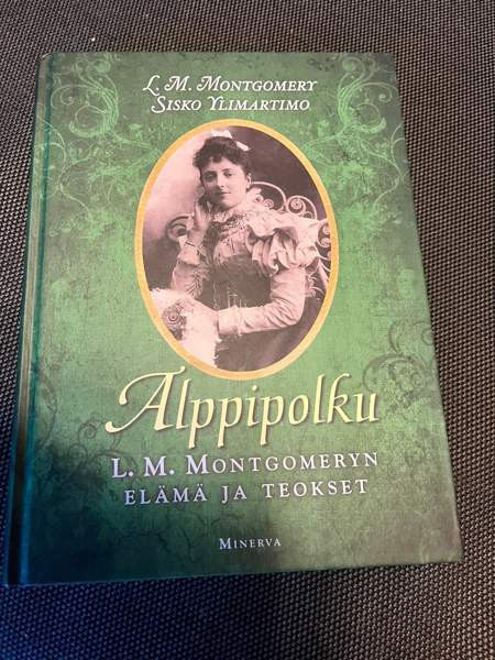 Alppipolku teos Tammela - valokuva 1