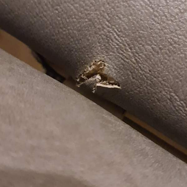 Hierontapöytä Virrat – foto 4