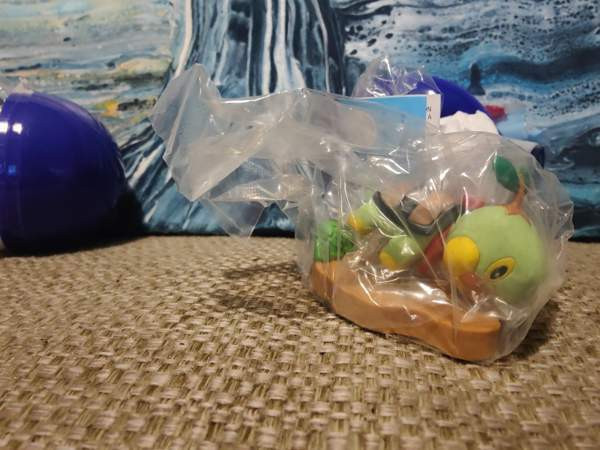 Pokemon mystery dungeon Turtwig Lappeenranta - valokuva 1