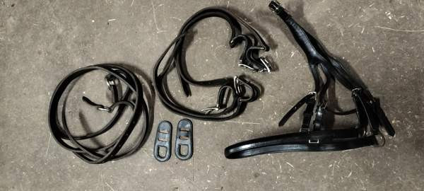 Uudenveroiset valjakkovaljaat Kemiönsaari - valokuva 4