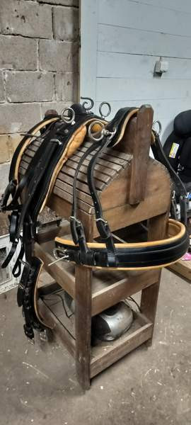 Uudenveroiset valjakkovaljaat Kemiönsaari - valokuva 2