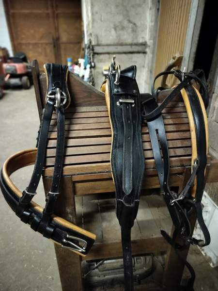 Uudenveroiset valjakkovaljaat Kemiönsaari - valokuva 1