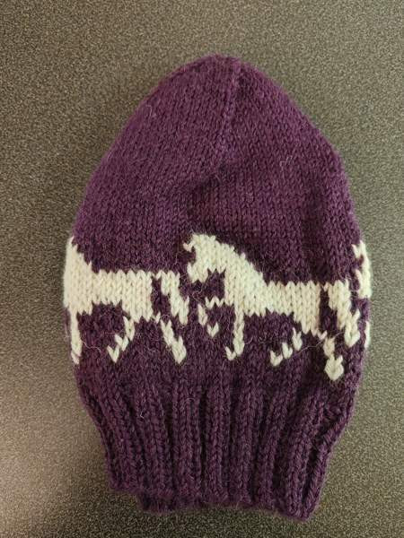 Hevoskuvioinen neulepipo Keminmaa - изображение 1