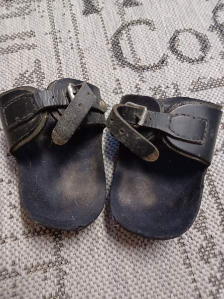 Shetlanninponin polvisuojat Lieksa - valokuva 2