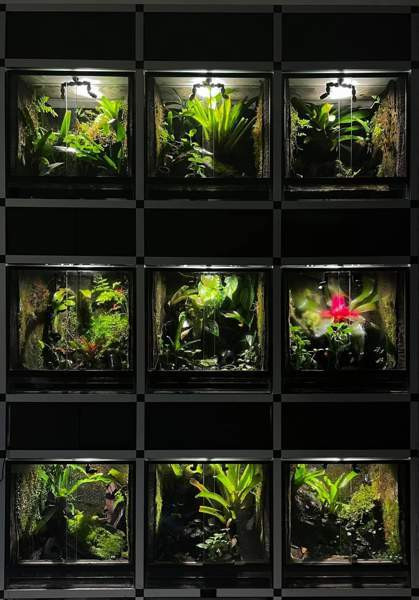 9 terraarion aluräkkikokonaisuus Nokia - valokuva 1