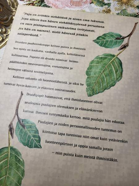 Druidien Puu horoskooppi Lohja - valokuva 2