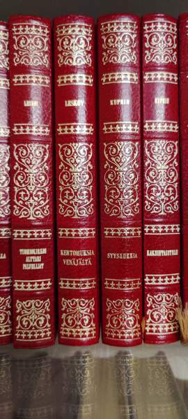 Venäläisten kirjailijoiden romaaneja Лаппенранта - изображение 2