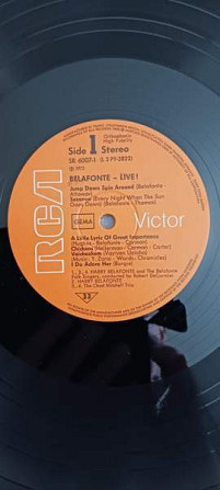 Harry Belafonte, tupla LP-levy Jaervenpaeae – foto 4