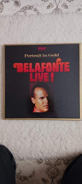Harry Belafonte, tupla LP-levy Jaervenpaeae - photo 1