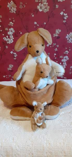 Kenguruperhe Nousiainen - изображение 2