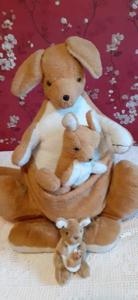 Kenguruperhe Nousiainen - изображение 1