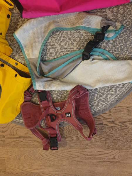 Koiran valjas, heijastin liivejä, viilennin, koot 45-55 Oulu - photo 2