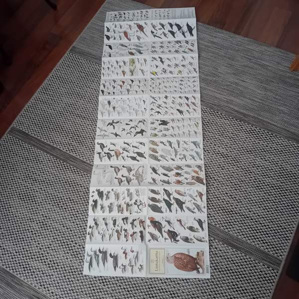 Suomen pesimälinnut Orimattila - photo 1