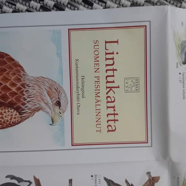 Suomen pesimälinnut Orimattila - photo 2