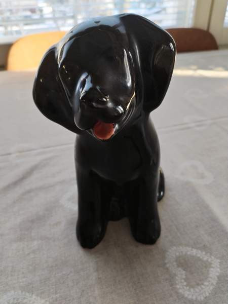 Labrarador -patsas Vaasa - photo 1