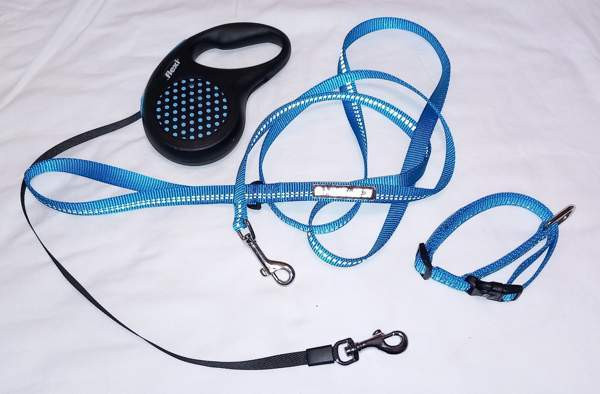 Koiralle flexi, kaulapanta ja talutushihna Isojoki - изображение 1