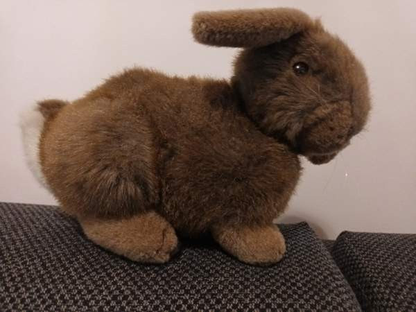 Söpö pehmo pupu Vantaa - photo 5