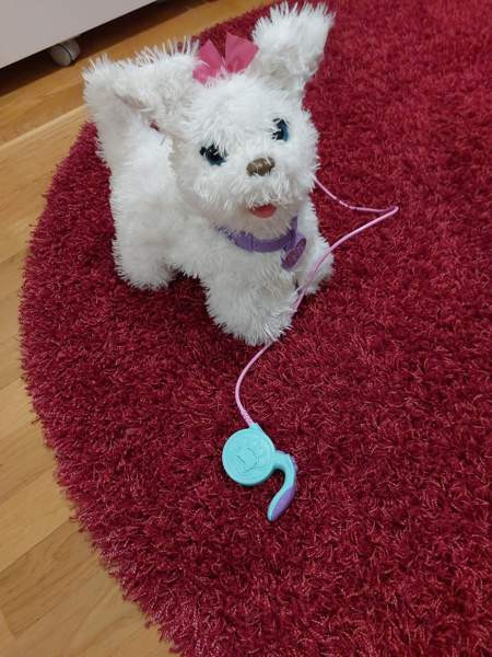 Fur Real Friends koira Oulu - valokuva 1