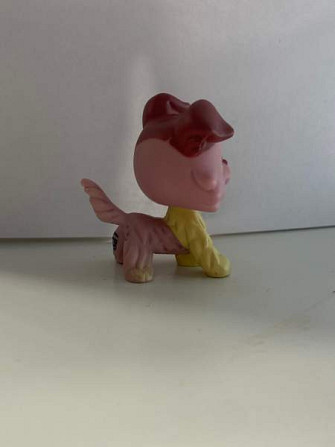 LPS collie Säkylä - photo 2