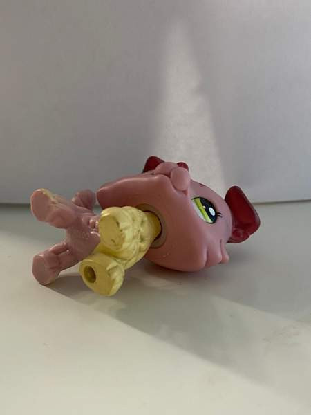 LPS collie Säkylä - изображение 3