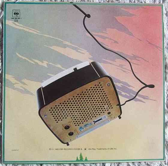 Sleepy Sleepers  – Metsäratio (LP) Heinola