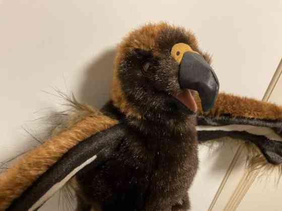 Kotka käsinukke Folkmanis Puppets Hämeenkyrö