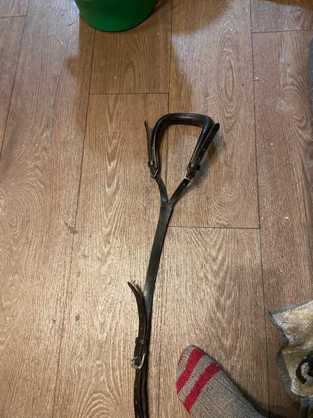 Ponin häntäremmi Jyväskylä - valokuva 1