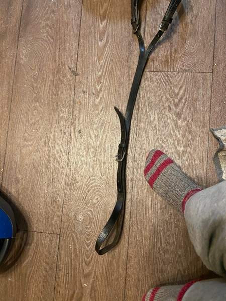 Ponin häntäremmi Jyväskylä - valokuva 2