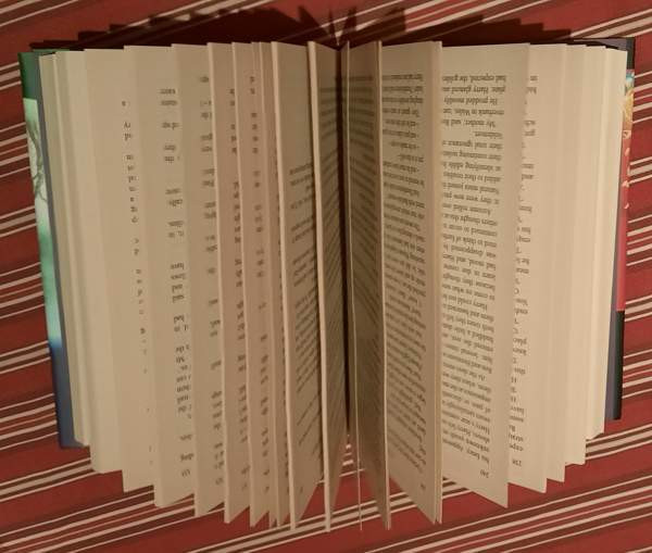 Harry Potter -kirja / englanninkielinen Turku - photo 4