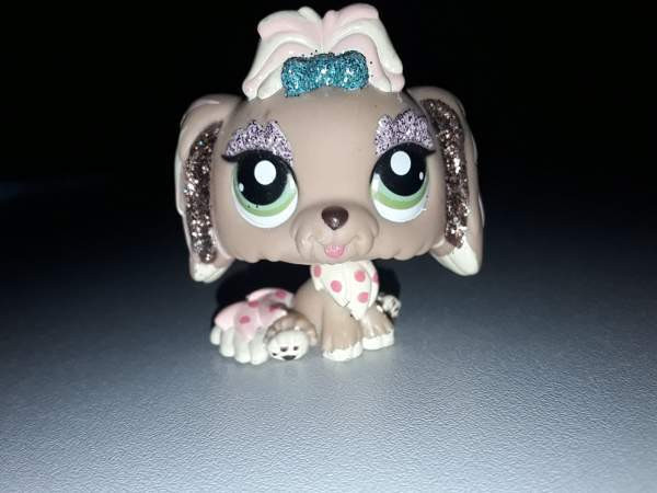 Lps Lhasa apso Jyvaeskylae – foto 1