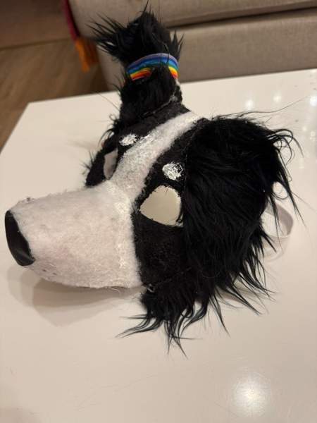 Therian-maski bordercollie Maentsaelae - photo 2