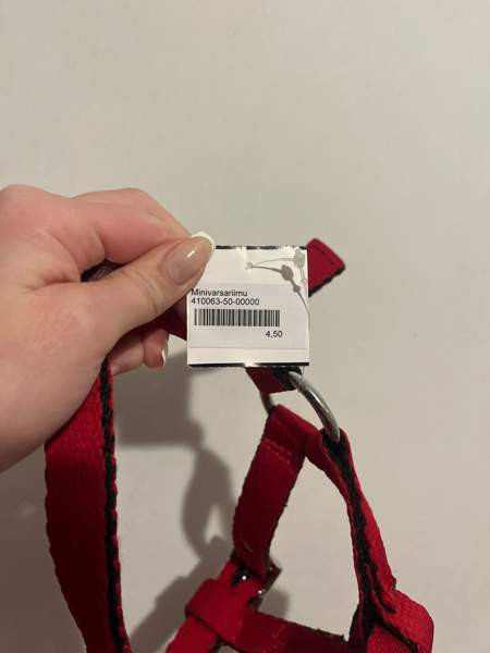 Varsariimu Ювяскюля - изображение 2