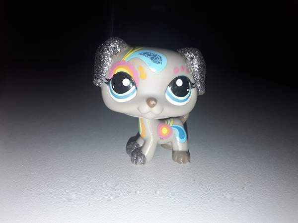 Glitterkoira Jyvaeskylae - photo 1