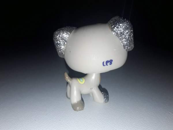 Glitterkoira Jyvaeskylae - photo 2