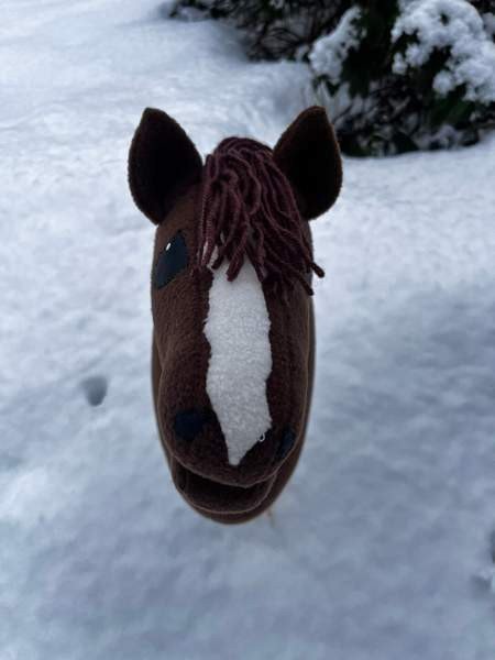 Keppihevonen Mikkeli - valokuva 5