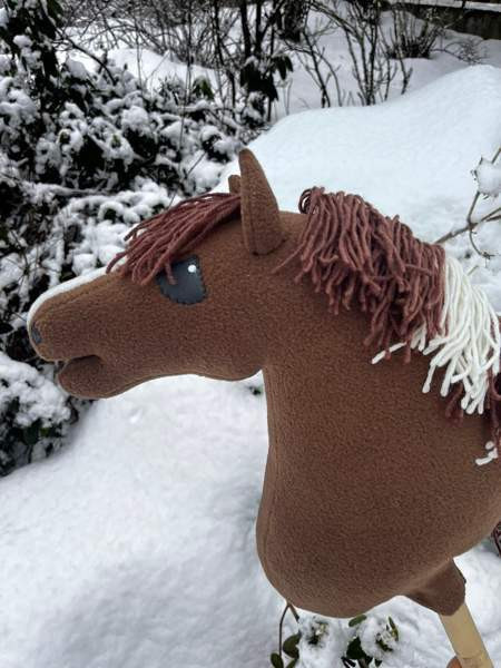 Keppihevonen Mikkeli - valokuva 8