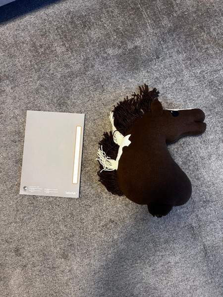 Keppihevonen Mikkeli - valokuva 2