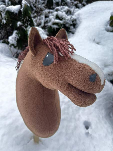 Keppihevonen Mikkeli - valokuva 1