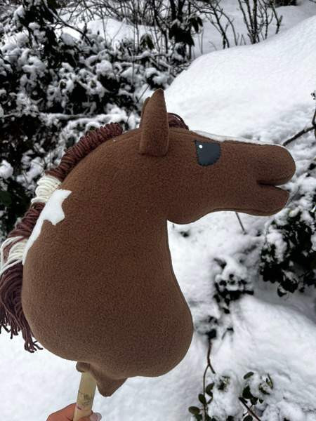 Keppihevonen Mikkeli - valokuva 7