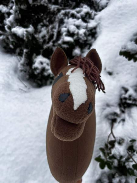 Keppihevonen Mikkeli - valokuva 6