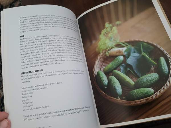 Hapata herkulliseksi Ilomantsi – foto 4