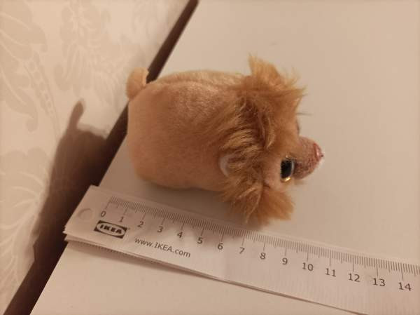 Ty Regal Leijona 2017 Тампере - изображение 4