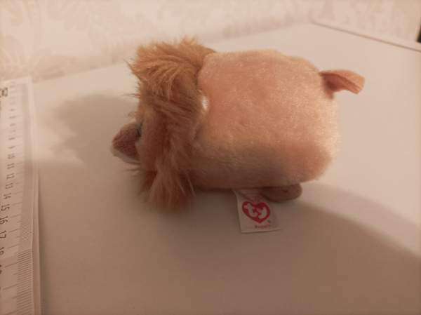 Ty Regal Leijona 2017 Тампере - изображение 2