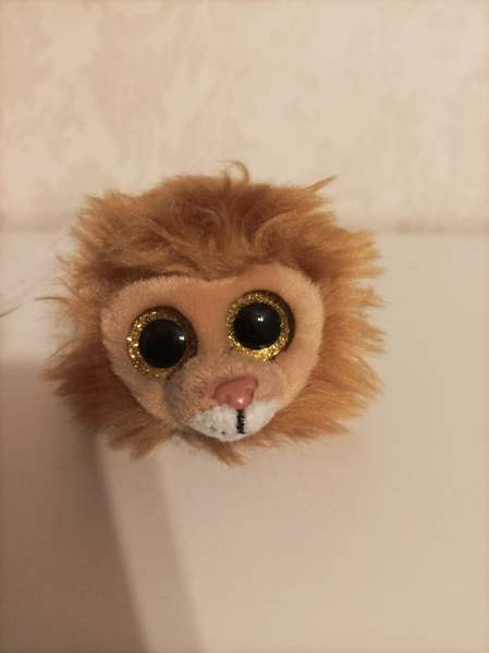 Ty Regal Leijona 2017 Тампере - изображение 1