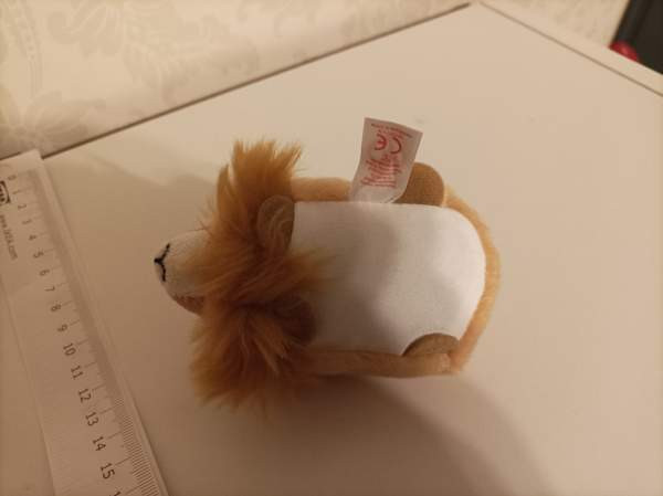 Ty Regal Leijona 2017 Тампере - изображение 3