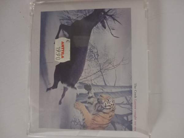 The crash Helsinki – foto 1