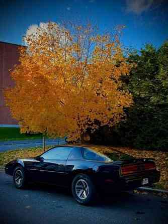 Pontiac Firebird Tampere