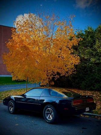 Pontiac Firebird Tampere - valokuva 2