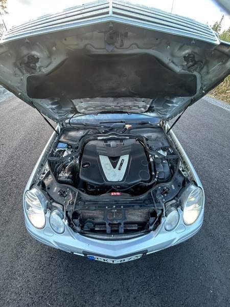 Mercedes-Benz E Lapua - изображение 6